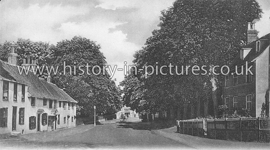 Stortford Road, Dunmow, Essex. c,1905